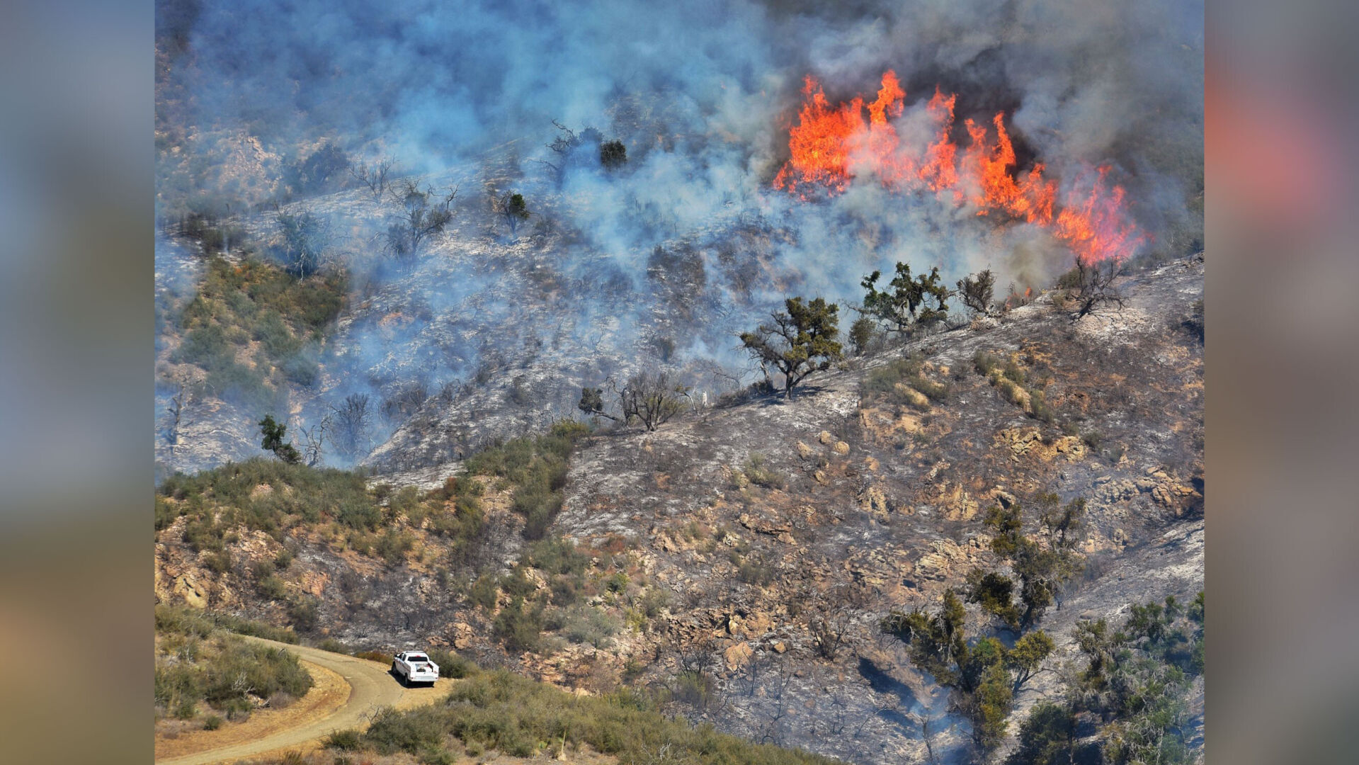 Southern California's Alisal Fire is 50% contained